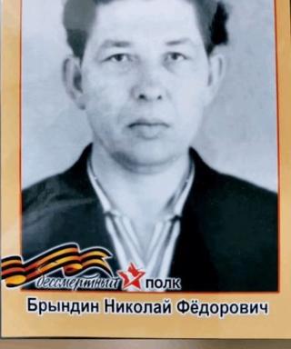Брындин Николай Фёдорович