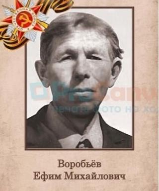 Воробьев Ефим Михайлович
