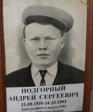 Подгорный Андрей Сергеевич