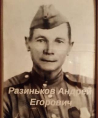 Разиньков Андрей Егорович