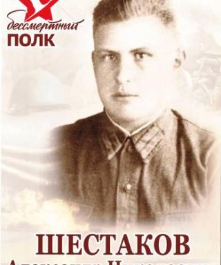 Шестаков Александр Николаевич
