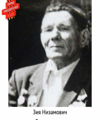 Ямалетдинов Зыя Низамович