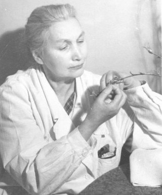 Бояринова Зинаида Палладиевна