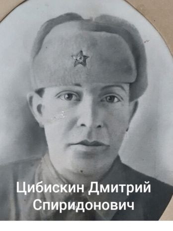 Цибискин Дмитрий Спиридонович