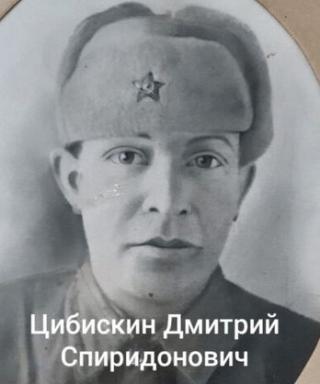 Цибискин Дмитрий Спиридонович