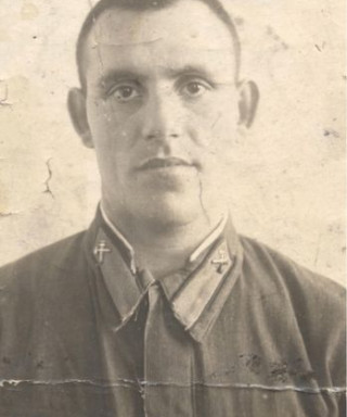 Плавник Макс Хаймович