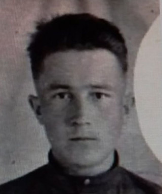 Грехнев Николай Ильич