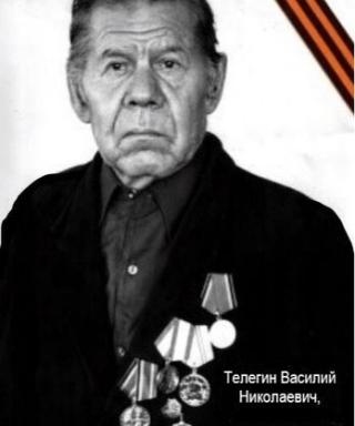 Телегин Василий Николаевич