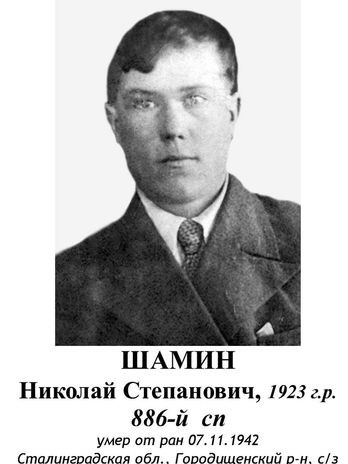 Шамин Николай Степанович