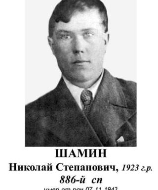 Шамин Николай Степанович