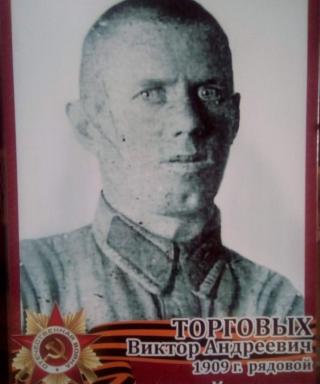 Торговых Виктор Андреевич