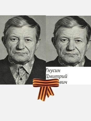 Гнусин Дмитрий Иванович