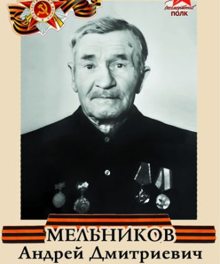 Мельников Андрей Дмитриевич