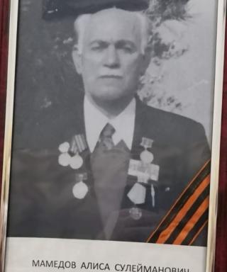 Мамедов Алиса Сулейманович
