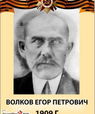 Волков Егор Петрович