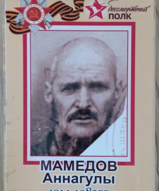 Мамедов Аннагулы