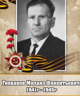 Гневанов Михаил Викентьевич