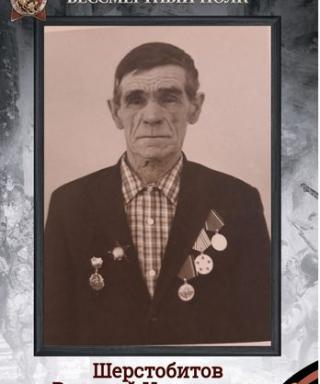 Шерстобитов Василий Николаевич