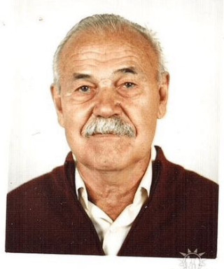 ПАСТУНИН МИХАИЛ АЛЕКСЕЕВИЧ