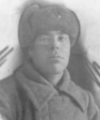 Добровольский Абрам Викентьевич