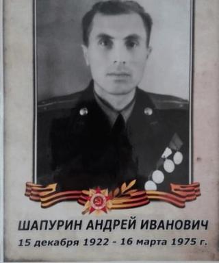 Шапурин Андрей Иванович