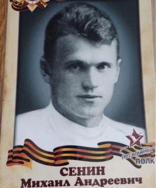 Сенин Михаил Андреевич