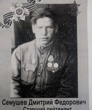 Семушев Дмитрий Федорович