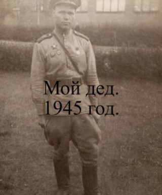 Яценко Никита Сергеевич