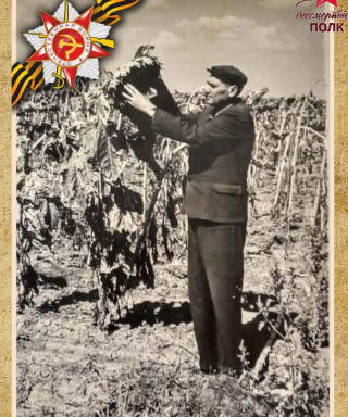 Полежаев Михаил Иванович