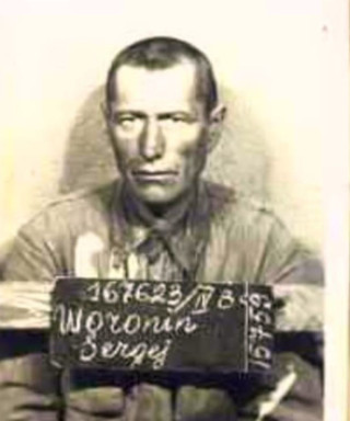 Воронин Сергей Сергеевич