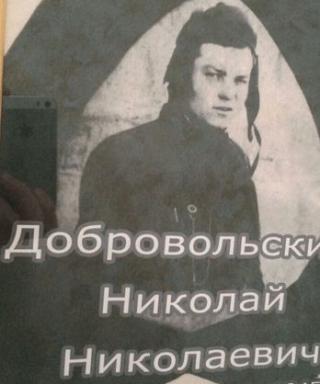 Добровольский Николай Николаевич
