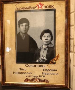 Соколов Петр Николаевич