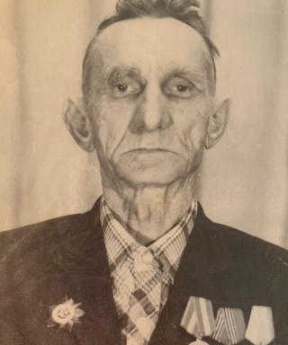 Полянский Николай Ильич