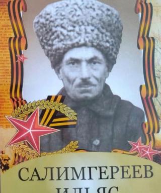 Салимгереев Ильяс