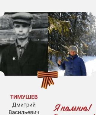 Тимушев Дмитрий Васильевич