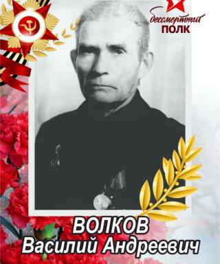 Волков Василий Андреевич