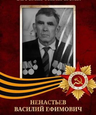 Ненастьев Василий Ефимович