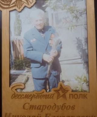 Стародубов Николай Елизарович