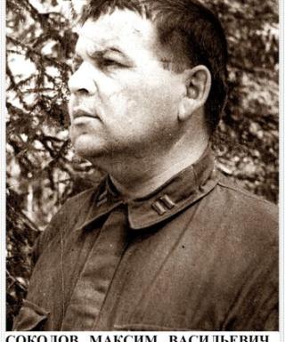 Соколов Максим Васильевич
