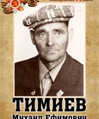 Тимиев Михаил Ефимович