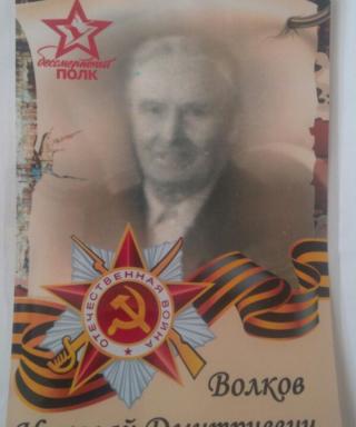 Волков Николай Дмитриевич