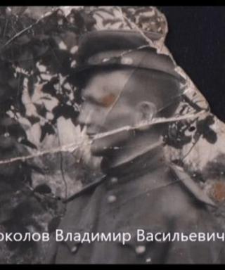 Соколов Владимир Васильевич