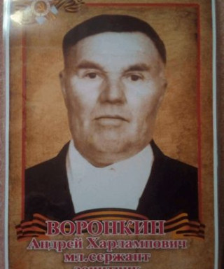 Воронкин Андрей Харлампович