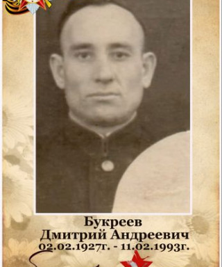 Букреев Дмитрий Андреевич