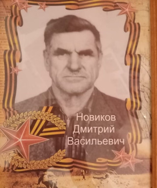 Новиков Дмитрий Васильевич