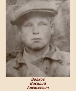 Волков Василий Алексеевич