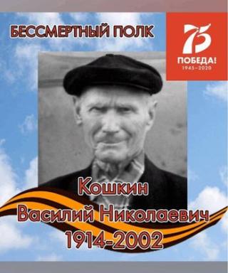 Кошкин Василий Николаевич