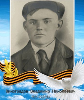 Виноградов Владимир Николаевич