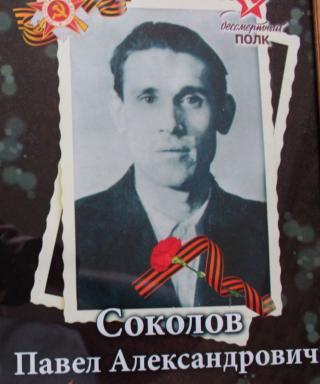 Соколов Павел Александрович