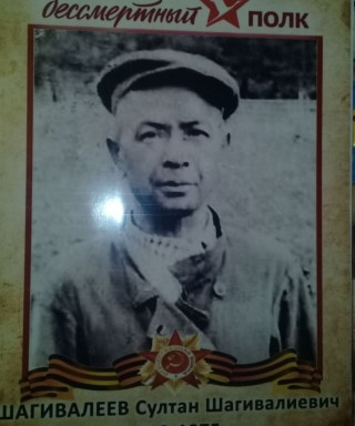 Шагивалеев Султан Шагивалиевич